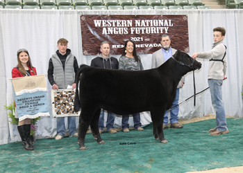 Reserve Grand Champion Bred-and-owned Female