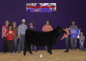 Grand Champion Owned Female