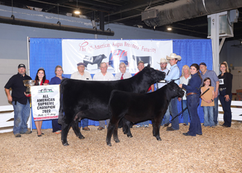 Grand Champion Cow-calf Pair
