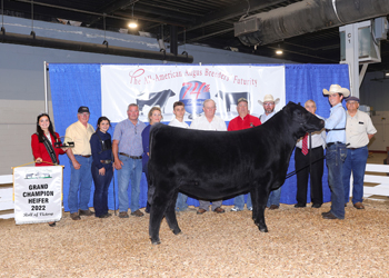 Grand Champion Female