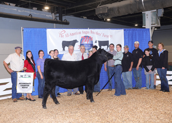 Fifth Overall Bred-and-owned Champion Female