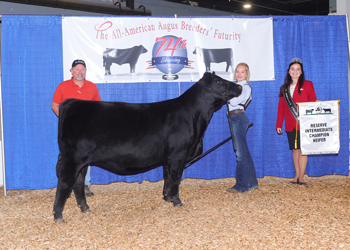 Reserve Intermediate Champion Heifer