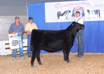 Reserve Senior Heifer Calf Champion