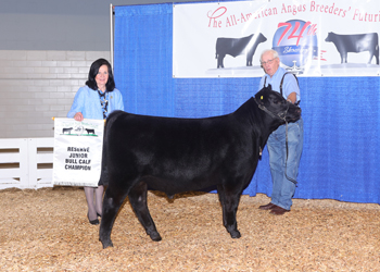 Reserve Junior Bull Calf Champion