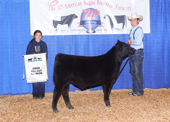 Junior Bull Calf Champion
