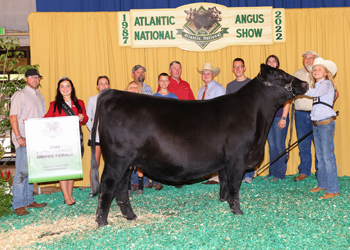 5th Overall Champion