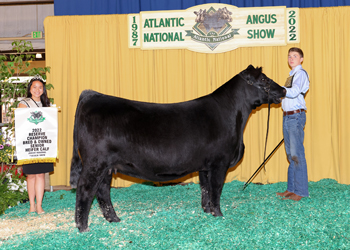 Bred-and-owned Reserve Senior Heifer Calf Champion