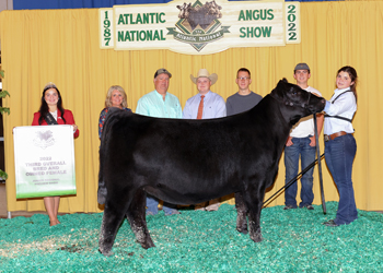 Third Overall Bred-and-owned Champion Female