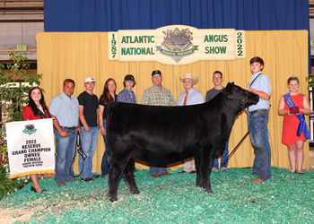 Reserve Grand Champion Owned Female