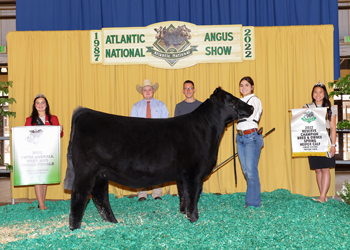 Fifth Overall Bred-and-owned Champion Female