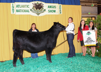 Bred-and-owned Reserve Summer Heifer Calf Champion