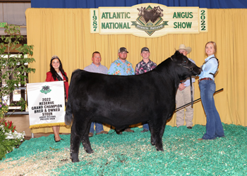 Reserve Grand Champion Bred-and-owned Steer