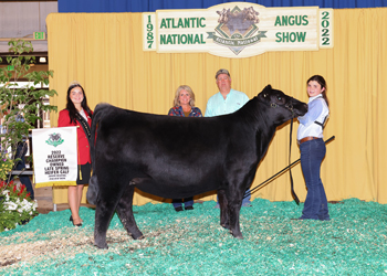 Owned Reserve Late Spring Heifer Calf Champion