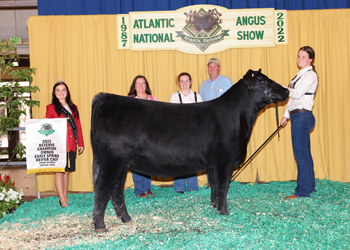 Owned Reserve Early Spring Heifer Calf Champion