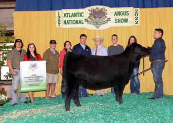 Fourth Overall Bred-and-owned Champion Female