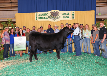 3rd Overall Champion