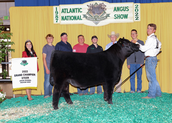 Grand Champion Steer