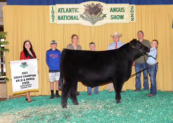 Grand Champion Bred-and-owned Steer