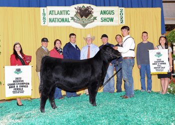 Reserve Grand Champion Bred-and-owned Female