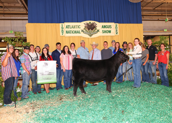 4th Overall Champion