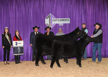 Grand Champion Cow-calf Pair