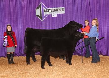 Senior Champion Female