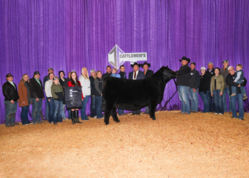 Reserve Grand Champion Female