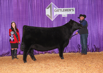 Junior Heifer Champion--Division 2