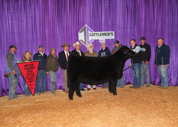 Grand Champion Female