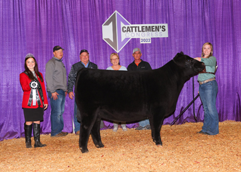 Reserve Senior Heifer Calf Champion--Division 1