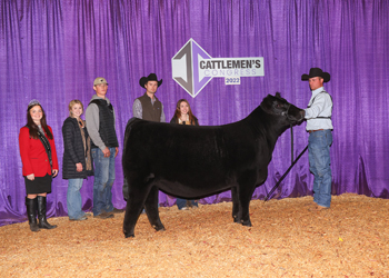 Senior Heifer Calf Champion--Division 2