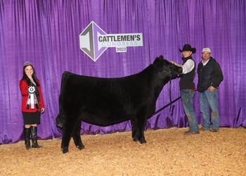Reserve Senior Heifer Calf Champion--Division 2