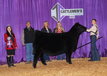 Senior Heifer Calf Champion--Division 1