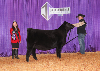 Junior Heifer Calf Champion--Division 5
