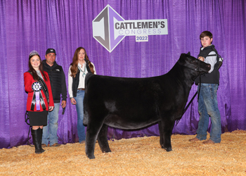 Reserve Junior Heifer Calf Champion--Division 1