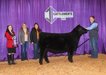 Junior Heifer Calf Champion--Division 4