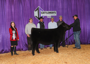 Reserve Junior Heifer Calf Champion--Division 3