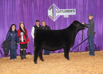Reserve Junior Heifer Calf Champion--Division 5