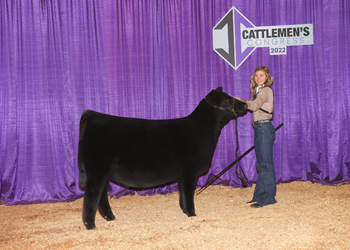 Junior Heifer Calf Champion--Division 2