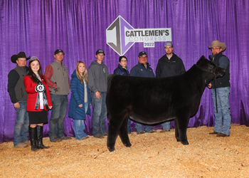 Reserve Junior Heifer Calf Champion--Division 2