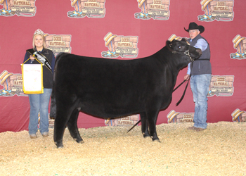 Reserve Junior Champion Heifer