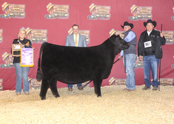 Grand Champion Female