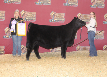 Reserve Senior Heifer Calf Champion