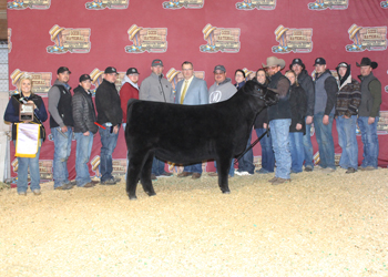 Reserve Grand Champion Female