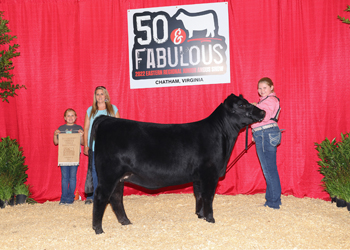 Bred-and-owned Intermediate Champion Heifer