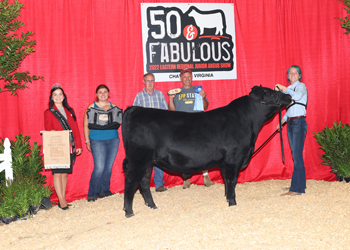Bred-and-owned Reserve Bull Calf Champion