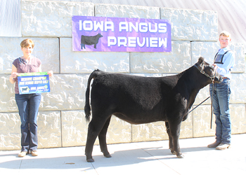 Bred-and-owned Reserve Senior Heifer Calf Champion