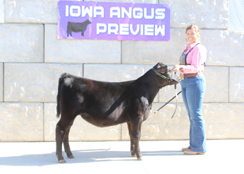 Bred-and-owned Reserve Heifer Calf Champion