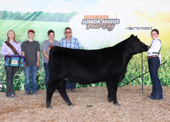 Bred-and-owned Senior Champion Female
