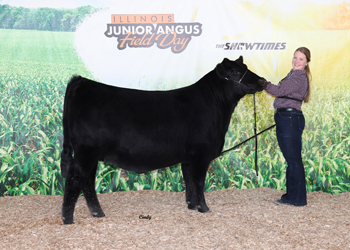 Owned Reserve Early Junior Champion Heifer